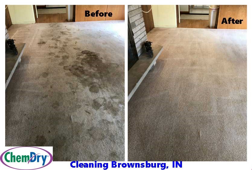 Carpet Cleaning Brownsburg