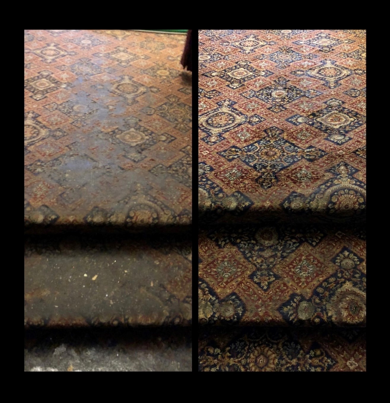 Rug Cleaning Indianapolis