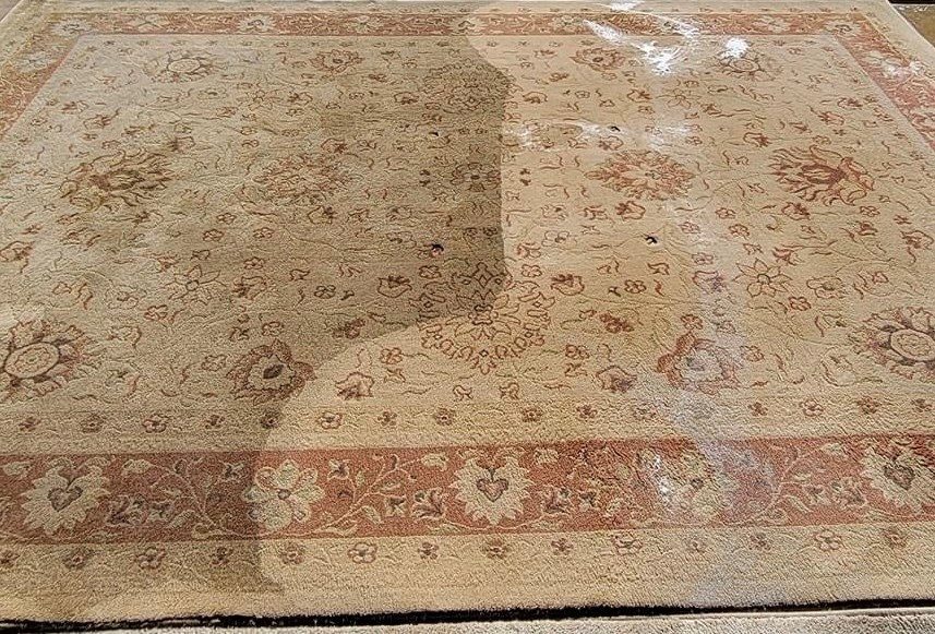 Area Rug Cleaning Indianapolis