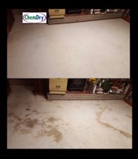 Carpet Cleaning Carmel