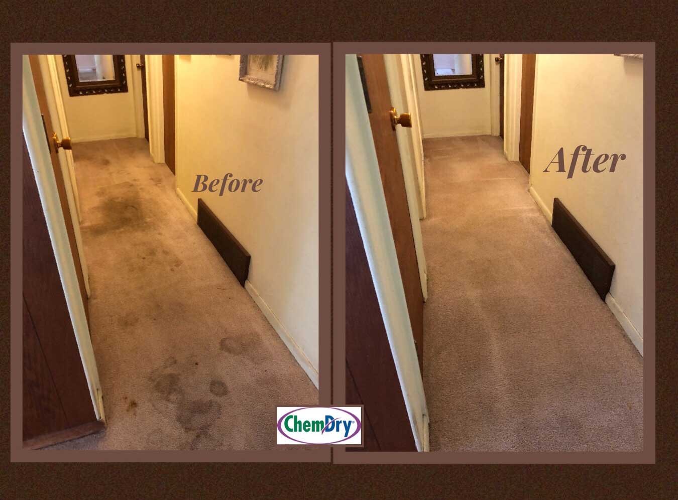 Chem-Dry is your healthy home provider for  carpet and upholstery cleaning