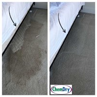 Carpet Cleaning Indianapolis, IN