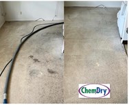 Carpet Cleaning Indianapolis IN