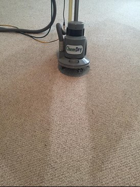 Carpet Cleaning Indianapolis IN
