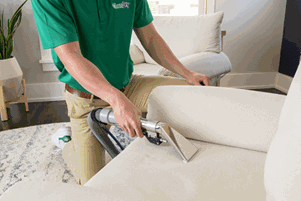 Upholstery Cleaning