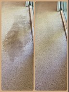 Carpet Cleaning Carmel IN
