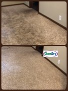 Carpet Cleaning Avon IN